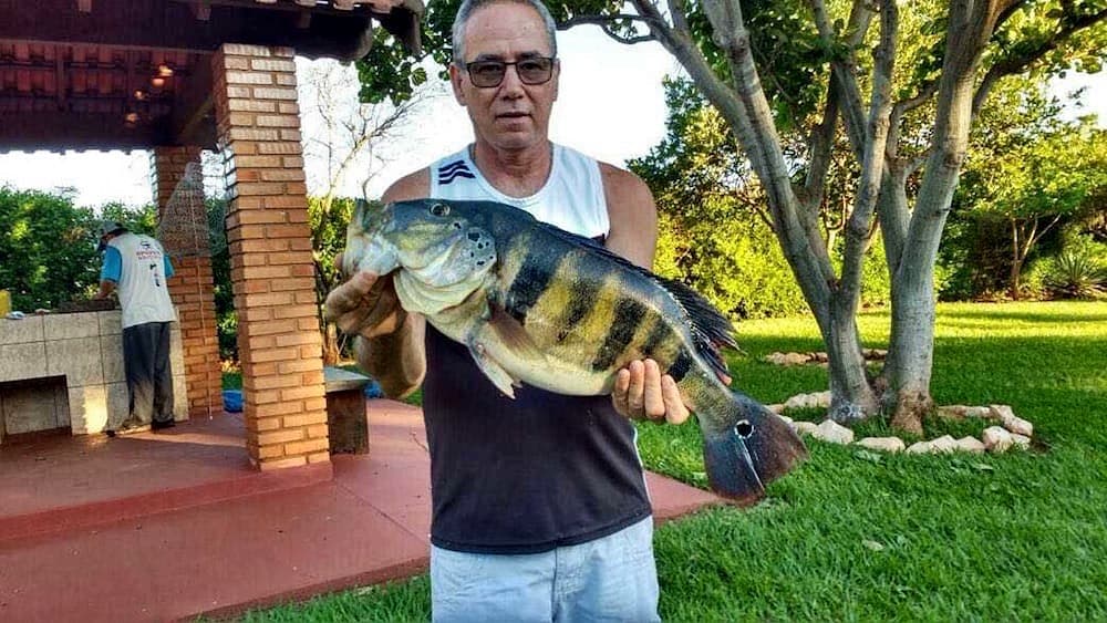 Luizinho