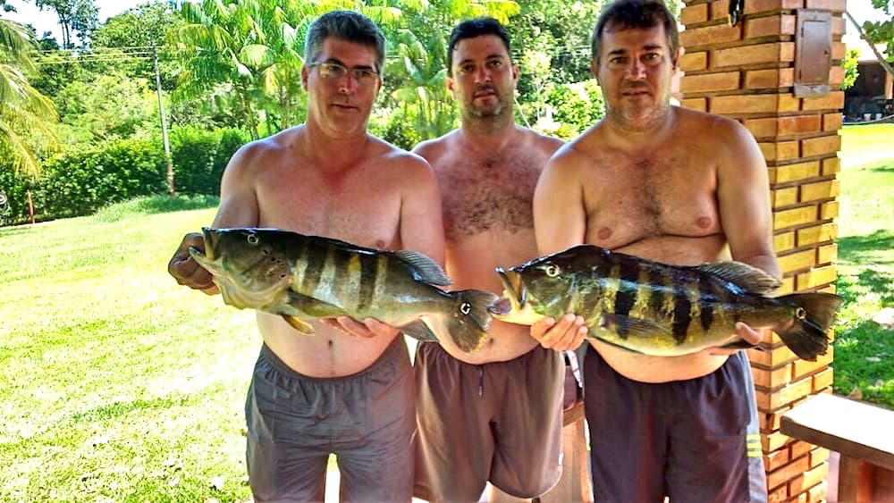 Pescados
