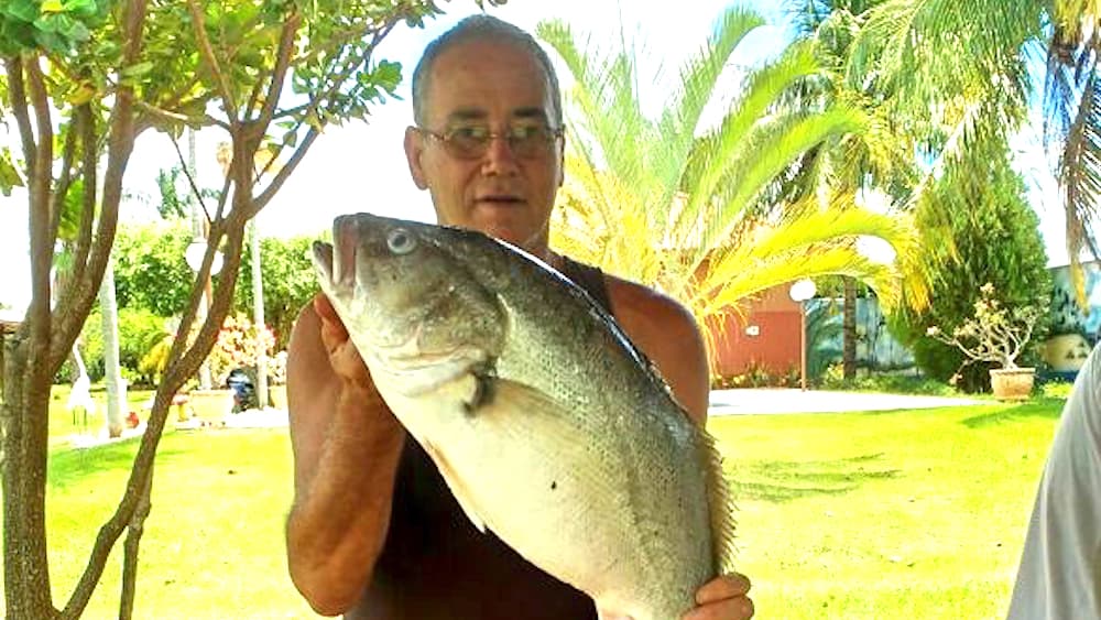 Luizinho
