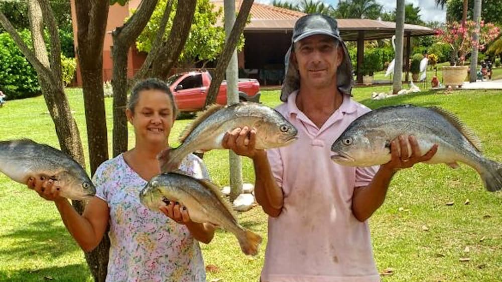 Pescados