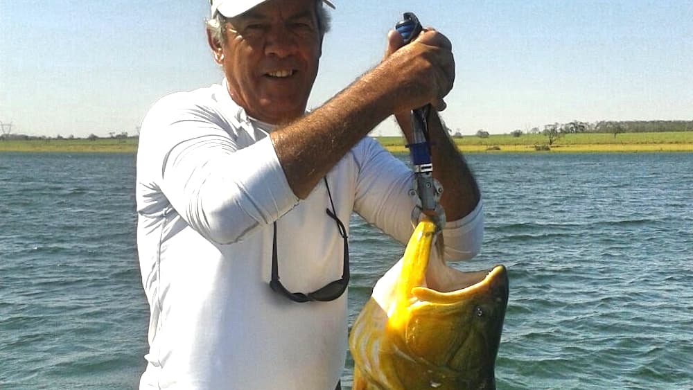 Pescados