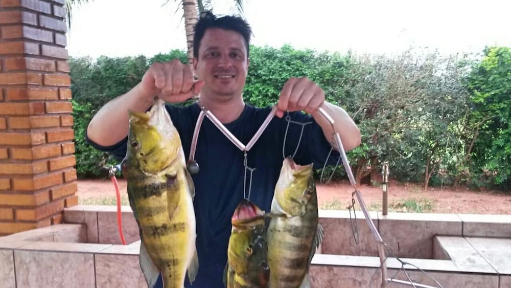 Pescados